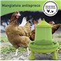 Mangeoire poules 2 kg et abreuvoir poules 3L – en plastique transparent résistant – Pieds amovibles - Zootec