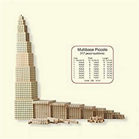 Dida - Ensemble de 317 Blocs de Base 10 en Bois