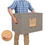 packer PRO Lot de 10 Boîtes en Carton pour Déménagement et Rangement avec Poignées, Carton Ultra Résistant, 600 x 400 x 400 mm