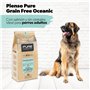 Pure Grain Free Oceanic Saumon Aliment Complet au Saumon et sans céréales pour Chiens Adultes 12 kg