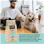 Pure Grain Free Oceanic Saumon Aliment Complet au Saumon et sans céréales pour Chiens Adultes 12 kg
