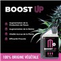 UP NUTRIENTS Bio Engrais Stimulateur de Floraison BOOST UP 1L | Bio Stimulateur pour Plantes et Cultures | Accélérateur de Produ