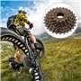 Demeras Pignon de Cassette de Roue Libre de vélo de Volant de vélo de Montagne 6 Vitesses 14T 28T Accessoire de Remplacement de