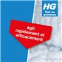 HG Dégivrant pour Congélateur Spray Dégivrant pour Congélateur & Réfrigérateur, 2x500 ml (539050104) - Lot de 2