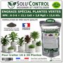 500 g Engrais Spécial Plantes Vertes 6-3-6 - Croissance