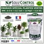 250 g Engrais Spécial Plantes Vertes 6-3-6 - Croissance