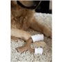 Jouet pour chien Nylabone Marron Beurre de cacahuètes L