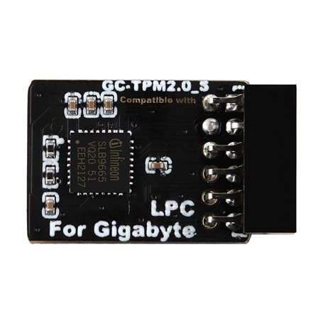 NewHail Module TPM2.0 LPC 12 broches avec Infineon SLB9665 pour carte mère Gigabyte compatible avec GC-TPM2.0_S