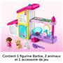 Fisher-Price Coffret Le Salon de Toilettage de Barbie Little People pour Tout-Petits avec Musique et Sons, 2 Niveaux et 4 élémen
