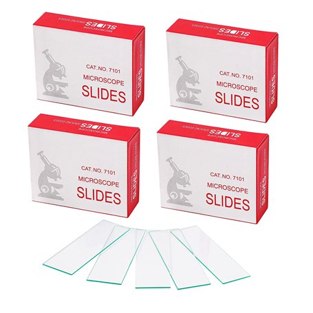 WANGCL Lot de 200 lames en verre pré-nettoyées pour microscope - Pour l'éducation biologique