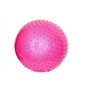 ENDLESS Ballon de Yoga Anti-éclatement de 55 cm | Ballon d'exercice en PVC épais pour Fitness