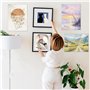 Supports de Fixations pour Photos et Miroirs
