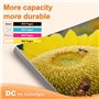 D&C Cartouche d'encre Compatible pour Brother LC-123 LC123 XL pour Brother DCP-J132W DCP-J150 Series DCP-J152W DCP-J152WR DCP-J1