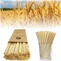 100 Pailles de blé bio de pailles écologiques pailles biodégradables respectueuses de l'environnement