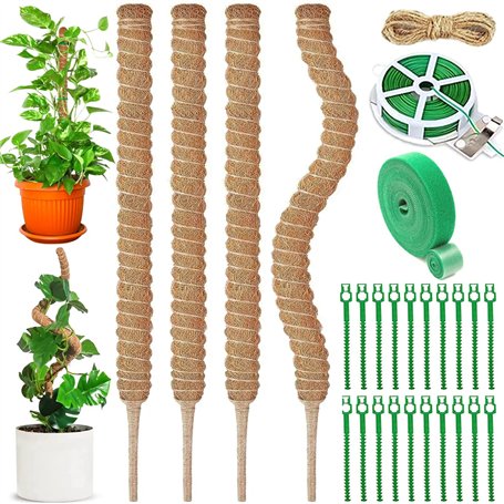 NCKIHRKK Lot de 4 Tuteur Plante