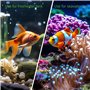 SpringSmart Cachette d'aquarium pour animaux de compagnie aquatiques pour se reproduire, jouer et se reposer, ornements en céram