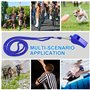Lot De 3 Sifflets Avec LanièRe, Sifflets De Sport à Son Fort Pour L'EntraîNement, Les Sports D'Urgence De Survie Pour Les Arbitr
