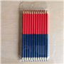 Ncheli 12 pcs Crayon Rouge et Bleu,Double tête école dessin crayon Crayons de couleur à double extrémité pour Dessin Coloration