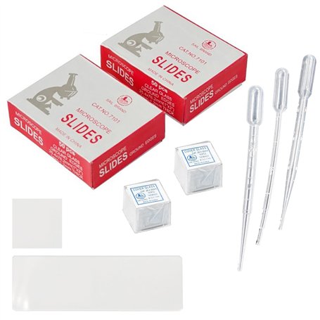 100 PièCes Lames De Microscope Pré-NettoyéEs Et 200 PièCes Verres Microscope PréParéEs Pour Microscope Et L'éTude La Biologie De