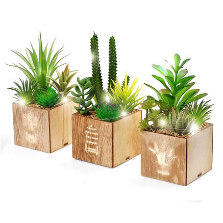 BEGONDIS Lot de 3 plantes succulentes artificielles avec lumières LED dans une boîte en bois