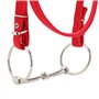 Bridon Cheval, Rouge Réglable Harnais Licol avec Rêne Cheval Mors Coussin Moelleux