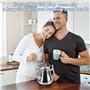 Bordeag Théière En Acier Inoxydable, Théière Avec Infuseur, Theière Inox À Double Paroi Théière En Inox Théière Infuseur Cafetiè