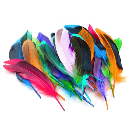 HDGSAFD Lot de 50 plumes colorées
