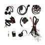 KESOTO Faisceau De Cables Electrique Complet Cdi pour VTT Quad Dirt Bike 150-250cc