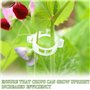 SYEYCW 80 Pièces Clips de Support pour Plantes, Tomate Clip de Jardin Sécurisé en Plastique, Support pour Attacher Les Plantes d