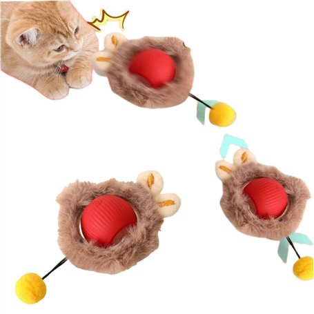 Jouets interactifs pour Chats d'intérieur