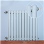 Ziranee Cle Purge Radiateur,4 PCS Cle Purge Radiateur Purgeur Bouchon Robinet Purge Vanne Clé Clés Radiateurs de Purge Chauffage