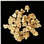 Boutons Ours,100 Boutons en Bois Boutons BéBé pour Tricoter Boutons Fantaisie pour vêtements De BéBé Boutons De Cardigan pour En
