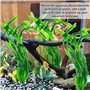 Plantes artificielles d'aquarium,10 Pack Plantes en Plastique décorations pour aquariu,Aquarium Plante Ornement