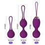 Boule de Geisha - Exercices de Kegel en Silicone Médicale pour Exercices de Plancher Pelvien Ensemble de 3 - Boules de geishas e