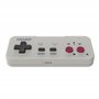 Retro-Bit Origin8 2.4G Manette sans fil Nintendo Switch & NES - Receveurs USB & NES inclus - GB Grey Edition