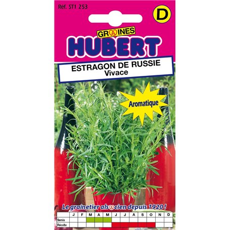 Graines d'Estragon de Russie Vivace - 0