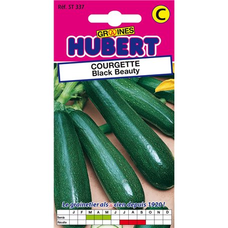 Graines de Courgette Black Beauty - 4 grammes