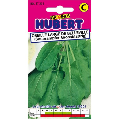Graines d'Oseille Large de Belleville - 2 grammes