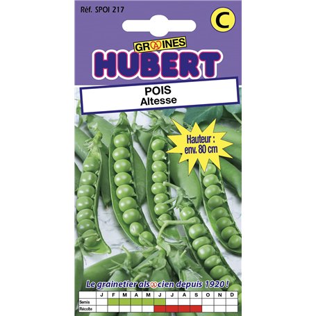 35 Graines de Pois Altesse - Format Petit Jardin