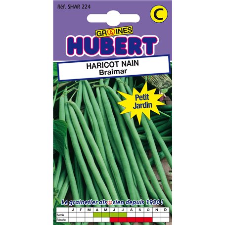 50 Graines de Haricot nain Braimar - Format Petit Jardin