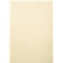 Exacompta - Réf 2780C - Paquet de 100 plats en carte rigide grain cuir 270g/m2 pour couvertures Forever - format à classer A4 -