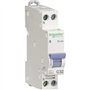 disjoncteur phase + neutre - schneider duoline xp - 32 ampères - courbe c - 20729
