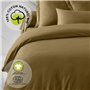 Parure de lit - TODAY - 220 x 240 cm - Coton bio - Bronze - 2 taies d'oreillers incluses