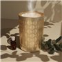 Zen’Arôme Diffuseur Huile Essentielle Vienne – Diffuseur Ultrasonique Multifonction Aromathérapie à Froid – Diffuseur Électrique