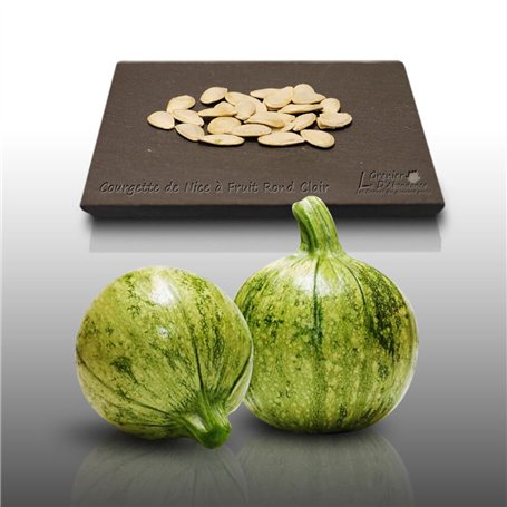 25 graines à semer - Le Grenier d'Abondance - COURGETTE Ronde de Nice - Curcubita Pepo