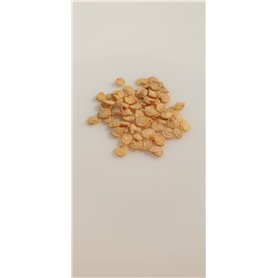 25 graines à semer - Le Grenier d'Abondance - POIVRON Jaune California - Capsicum annuum