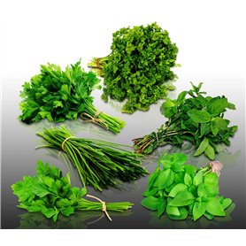 Lot de 1300 graines à semer - Le Grenier d'Abondance - Classiques Aromatiques - 6 sachets individuels