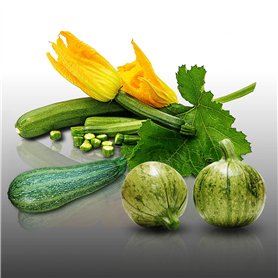 Lot de 25 graines à semer - Le Grenier d'Abondance - Trio de Courgettes - 3 sachets individuels