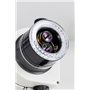 Sauter Ozl 466 Stéréo-Zoom microscope Trinoculaire Greenough (Paquet de 1)