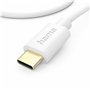 Câble USB Hama 00201590 Blanc